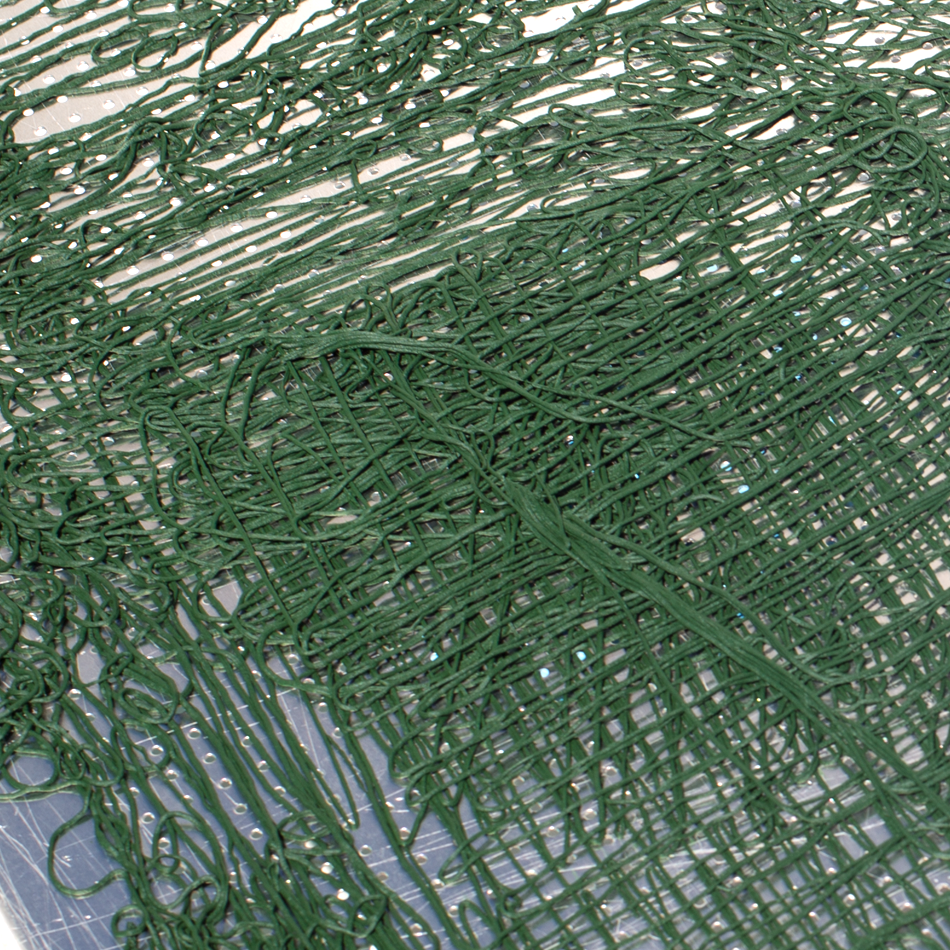 apogee spirulina spagetti