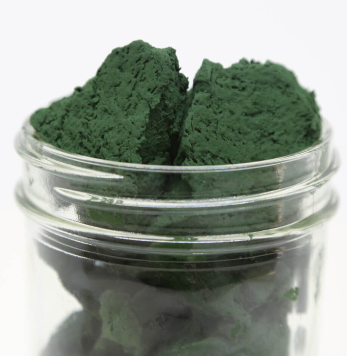 Fresh spirulina Apogee Spirulina