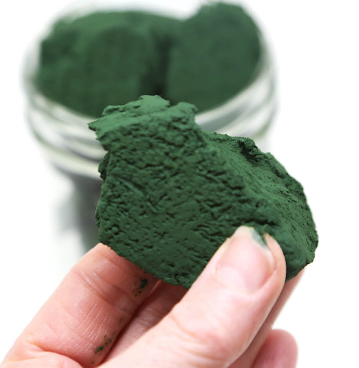 Fresh spirulina Apogee Spirulina