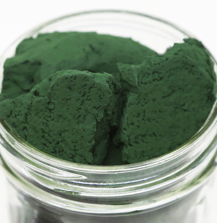 Fresh spirulina Apogee Spirulina